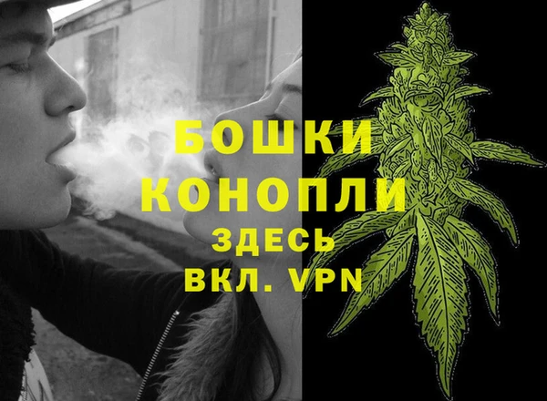 стаф Балабаново